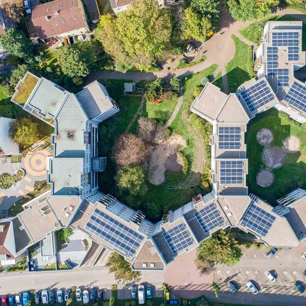 Solar advisor reviewing energy goals with a homeowner